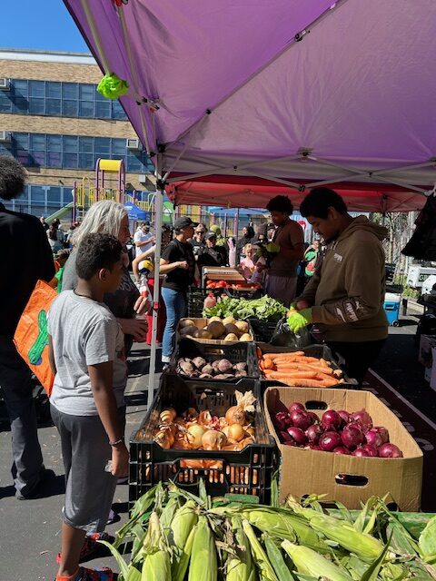 Volunteers and attendees with fresh produce at the Fruit & Vegetable Distribution.